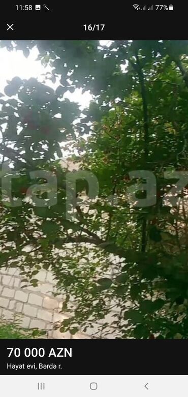 Həyət evləri və villaların satışı: TECİLİ Berde rayon hacìlar kendi yola yaxın 4 otaq zal heyetyani bag — 15