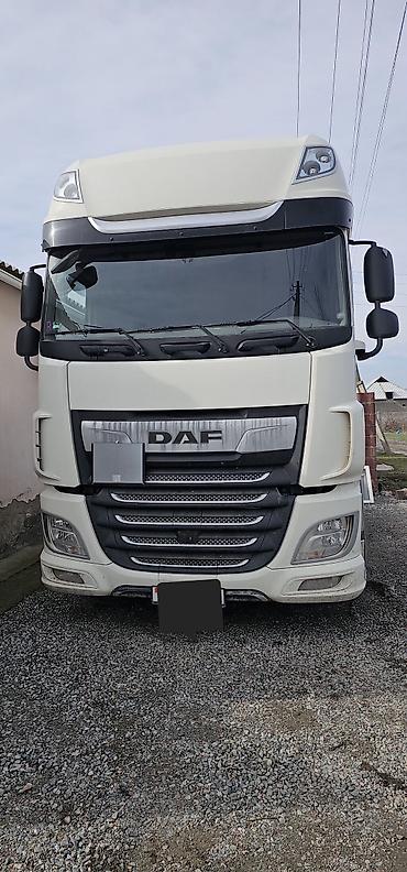 Тягачи: Тягач, DAF, 2019 г., Без прицепа — 1