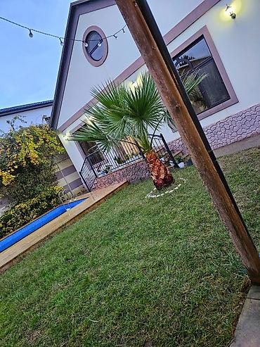 Bağ evlərinin kirayəsi: Hovuzlu bağ evi Real alıcıya endirim olacaq . Real alıcı olmayanlar — 6