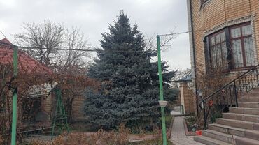 Продажа домов: Дом, 578 м², 6 комнат, Риэлтор, Дизайнерский ремонт — 4