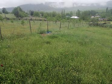 Torpaq sahələrinin satışı: 35 sot, Mülkiyyətçi, Kupça (Çıxarış) — 3