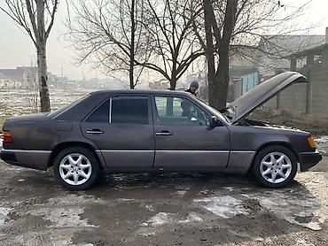 Mercedes-Benz: Mercedes-Benz W124: 1992 г., 2.3 л, Механика, Бензин, Седан — 1