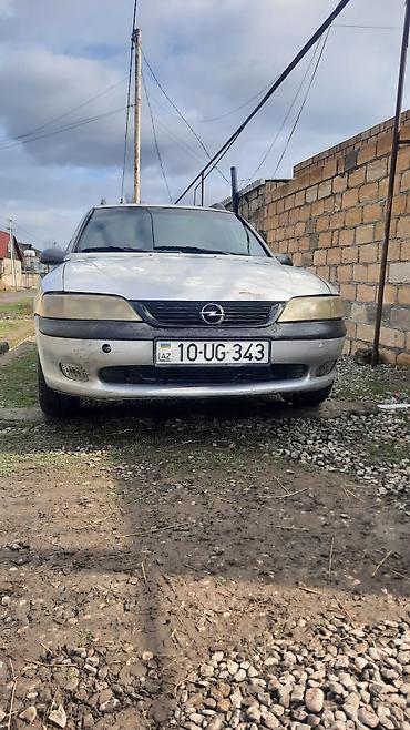 Opel: Opel Vectra: 2 l | 1998 il 243520 km Universal — 1