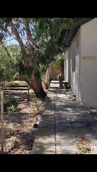 Bağ evlərinin satışı: Nardaran. Sea Breezele uz-beuz 44 sot, 6 dene ev (ayrica), 11 otag — 4