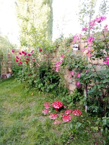 Günlük kirayə evlər: 90 kv. m, 3 otaqlı — 20