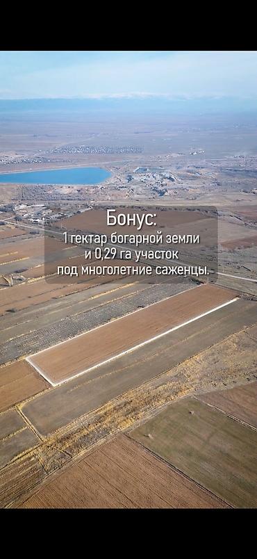 поливное земля: 319 соток, Для сельского хозяйства — 7