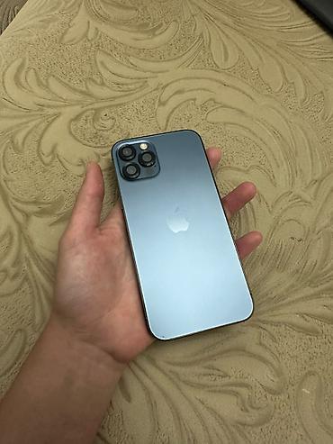 apple iphone 5 s 32gb: IPhone 12 Pro, цвет Pacific Blue Носил один человек! не вскырытый все — 1