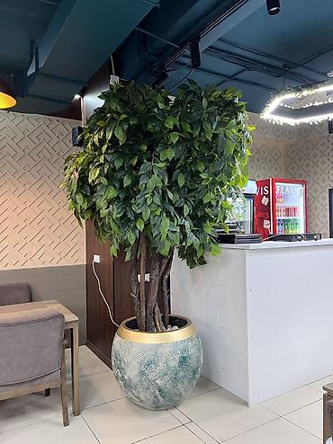 Декоративные цветы: 🌿 Мы — Mayram Decor KG, ваш надежный партнёр в создании эффектных и — 19