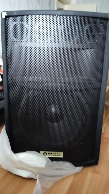 bose ses sistemi: Səyyar səsgücləndirici akustik sistem MAX firmasının kalonkaları 2 — 2