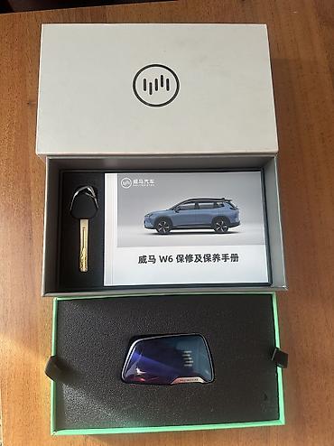 Weltmeister: Weltmeister W6, 2022 г., 60000 км, Передний, В наличии — 13