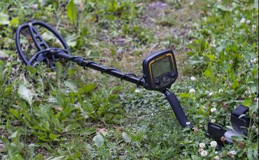 пресс для отжима винограда: Металлоискатель tx 800 идеальное состояние пользовались 1 раз в
