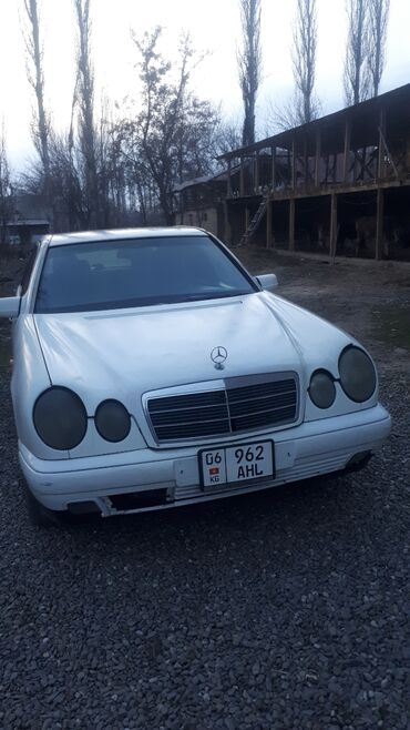 Mercedes-Benz 190 (W201): 1996 г., 2.9 л, Механика, Дизель