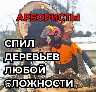 Спил обрезка деревьев, дёшево