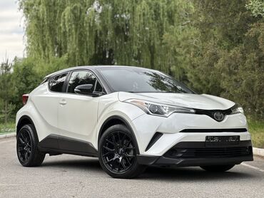 Toyota: Toyota C-HR: 2018 г., 2 л, Типтроник, Бензин, Хэтчбэк