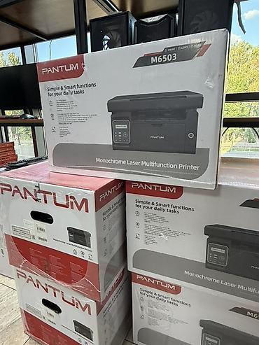 Принтеры: МФУ Pantum M6503 — монохромное лазерное устройство «3 в 1»: печать — 1