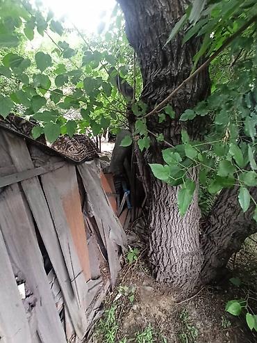 угловой участок: 20 соток, Для строительства, Договор купли-продажи, Красная книга, Тех паспорт — 2
