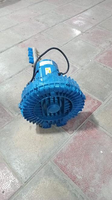qida məhsullarının topdan satışı: Sənaye hava kompressoru/air blower – çox çıxışlı paylayıcı ilə Son — 3