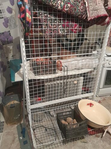 Mağaza asılqanları: Mağaza vitrin sistemi üçün asqı və profil dəsti - Divara bərkidilən — 9