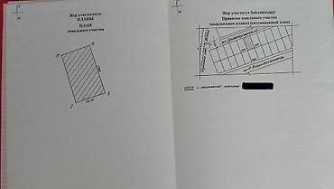 помещение балыкчы: 12 соток, Для строительства, Красная книга — 2