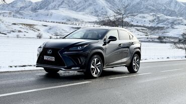 Lexus: Lexus NX: 2018 г., 2 л, Автомат, Бензин, Кроссовер