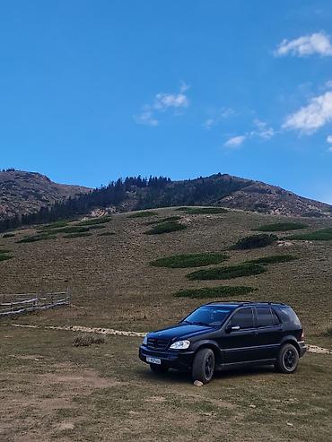 мерс mers: Mercedes-Benz ML-Class: 2002 г., 3.2 л, Автомат, Бензин, Внедорожник — 3