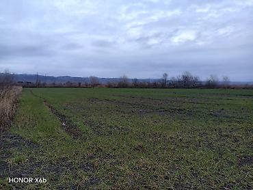 Torpaq sahələrinin satışı: 200 sot, Kənd təsərrüfatı, Texniki pasport — 8