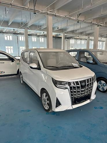 Microcar: Microcar : 2026 г., Электромобиль, Минивэн — 3