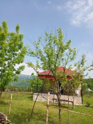 Günlük kirayə mənzillər: 2 otaqlı — 11