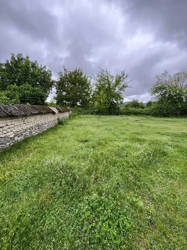 Torpaq sahələrinin satışı: 5 sot, Kənd təsərrüfatı -da lalafo.az — 4 Torpaq sahələrinin satışı: 5 sot, Kənd təsərrüfatı — 4