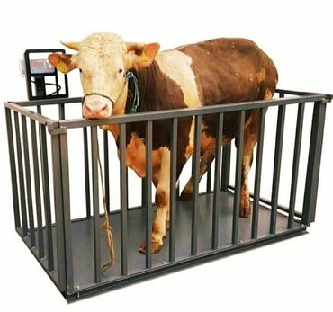 Digər texnika: Terezi satışı temiri — 4