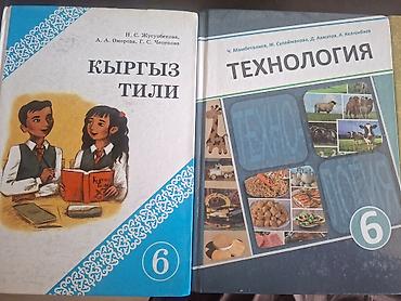 Учебники для 6 класса, русский язык обучения. В идеальном состоянии