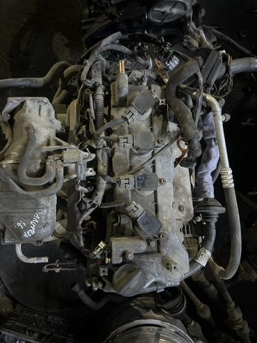 almera: Бензиновый мотор Nissan 2005 г., 1.5 л, Б/у, Оригинал, Япония