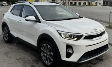 машины битые: Kia Stonic: 2019 г., 1.6 л, Автомат, Дизель, Кроссовер