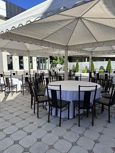 Стулья для кафе, ресторанов: Стул для кафе, ресторанов, Пластик — 9