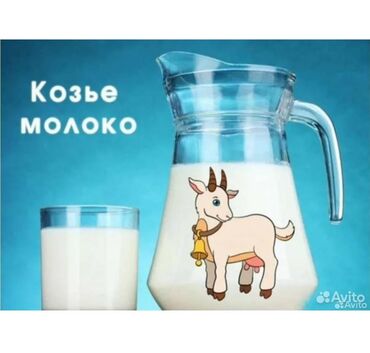 Продукты питания: Продаю козье молоко. 200 сом литр