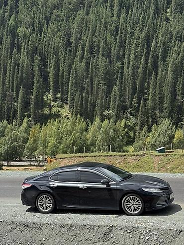 lexus cs: Toyota Camry: 2019 г., 2.5 л, Автомат, Бензин, Седан — 1