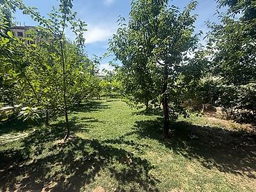 Продажа участков: 10 соток — 7