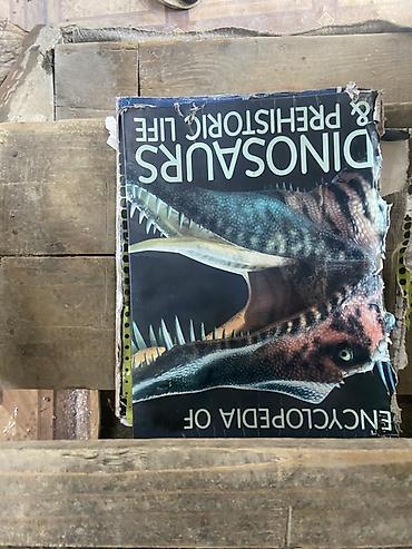 canta satışı: Məhsul: “Encyclopedia of Dinosaurs & Prehistoric Life” – — 5