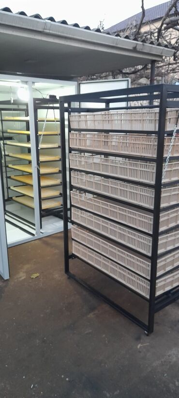 İnkubatorlar: 5000 yumurta, Azərbaycan, Tam avtomat, Bütün növ quşlaq üçün, Zəmanət ilə — 9
