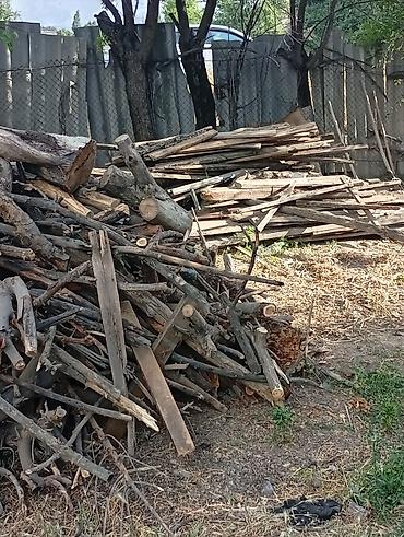моноблок бу: Продам дрова. есть дерева карагач и груша Суку лук все дрова сухие — 1
