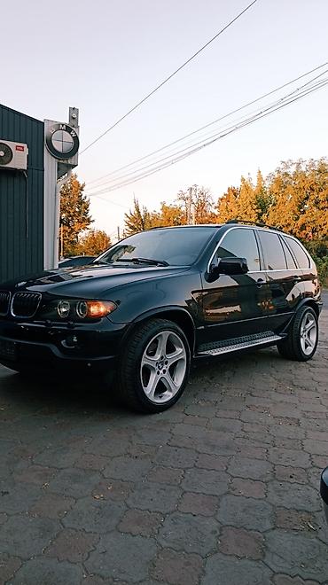 х5 м: BMW X5: 2004 г., 4.4 л, Автомат, Бензин, Внедорожник — 3