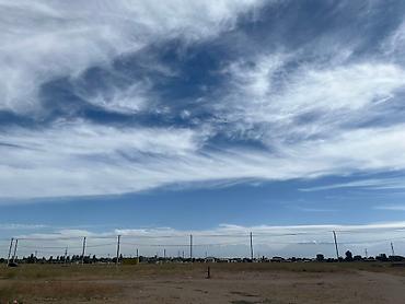 Продажа участков: 4 соток, Для строительства, Красная книга — 9