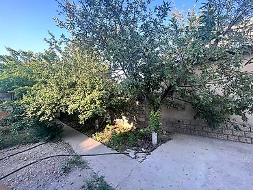 сдаю в сокулуке: 100 м², 4 комнаты, Дордой-2 ж/м, Без животных — 7