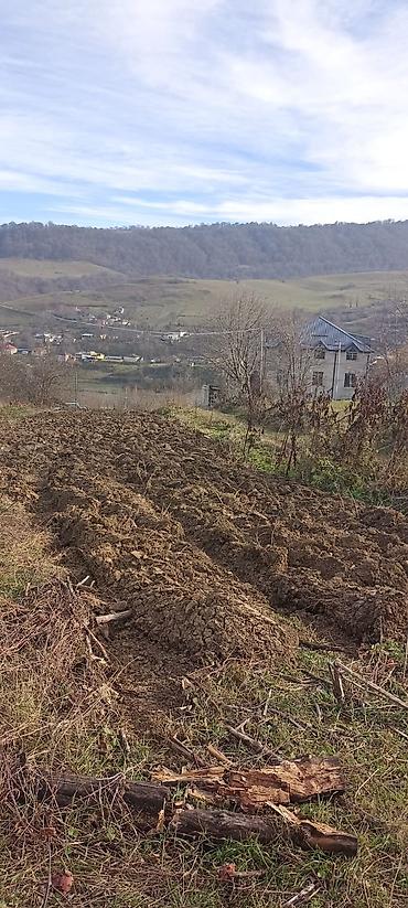 Torpaq sahələrinin satışı: Kənd təsərrüfatı — 6