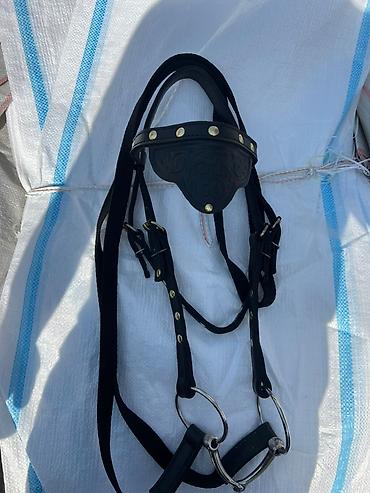 Товары и оборудование для с/х животных: Комплект конной амуниции в традиционном стиле. Состав и особенности — 1