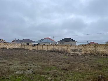 binə mehriban qonşular: 10 sot, Maklerlər narahat etməsin, Kupça (Çıxarış) — 3