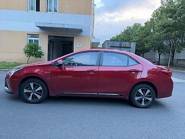 Toyota: Toyota Levin: 2019 г., 1.8 л, Вариатор, Гибрид, Седан — 8