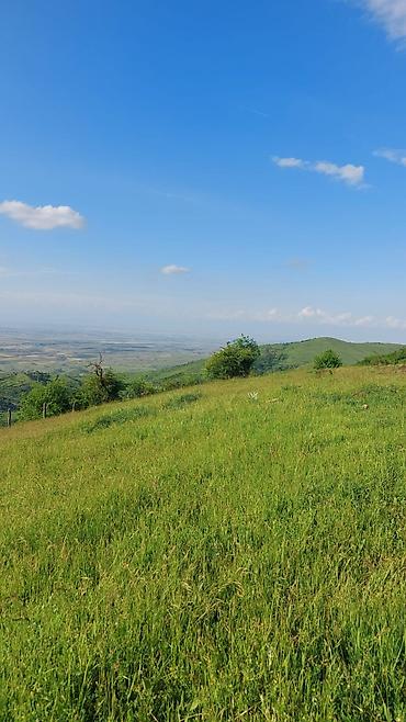 torpag sahesi: Satılır: Dağ mənzərəli torpaq sahəsi - Təyinat: fərdi yaşayış/evi — 2