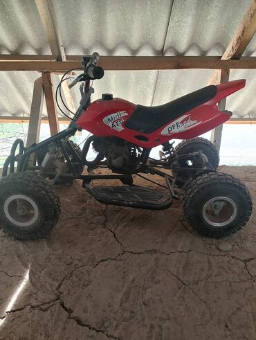 квадроцикл маленький: Красный квадроцикл Midi ATV, предназначенный для бездорожья. Он