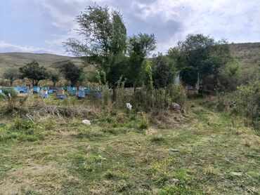 Продажа домов: Дом, 60 м², 4 комнаты, Собственник, Косметический ремонт — 20